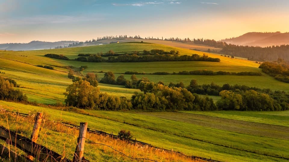 Milioane de euro pentru dezvoltarea agriculturii durabile