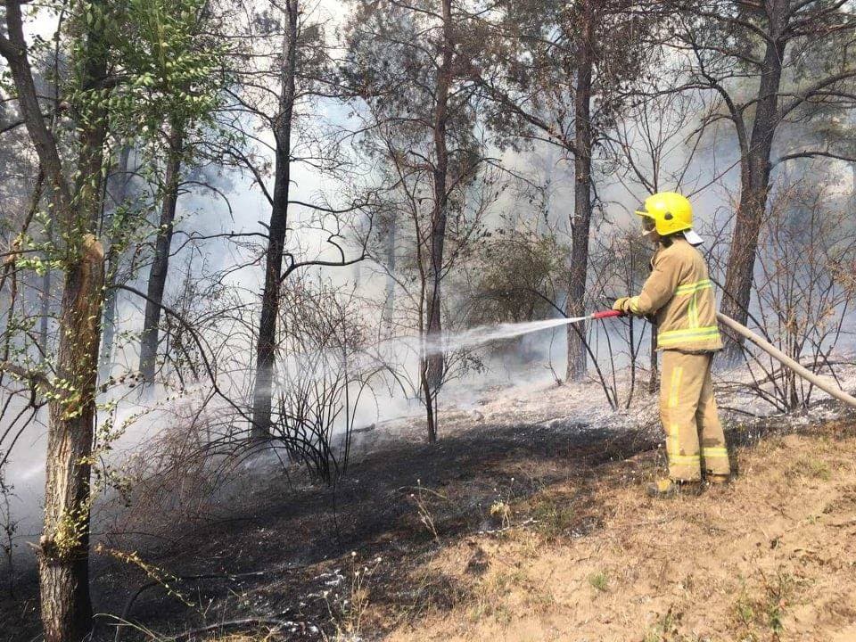 Incendiile de vegetație nu se mai termină