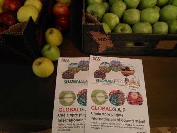 Auditarea companiilor agricole, tot mai aproape de final
