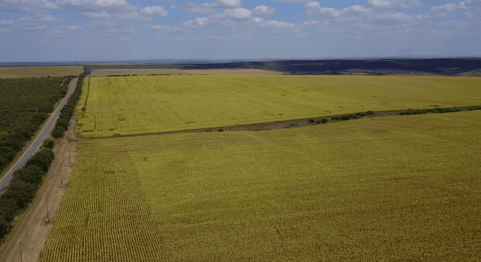 Agricultura ecologică în continuă dezvoltare!