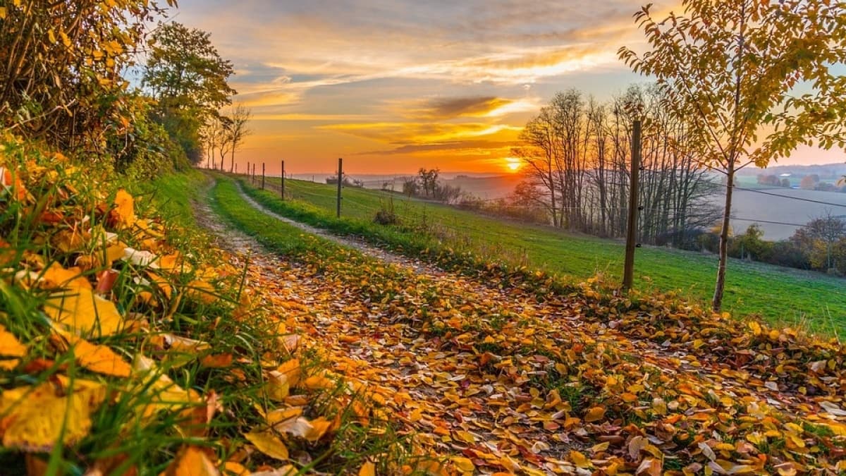 Vineri vremea se încălzește