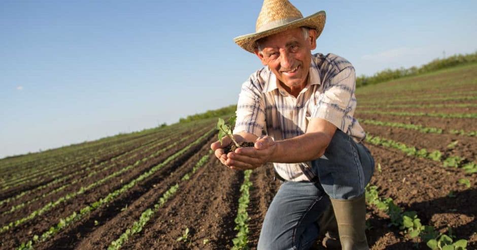 Și în acest an marcăm Ziua Agricultorului