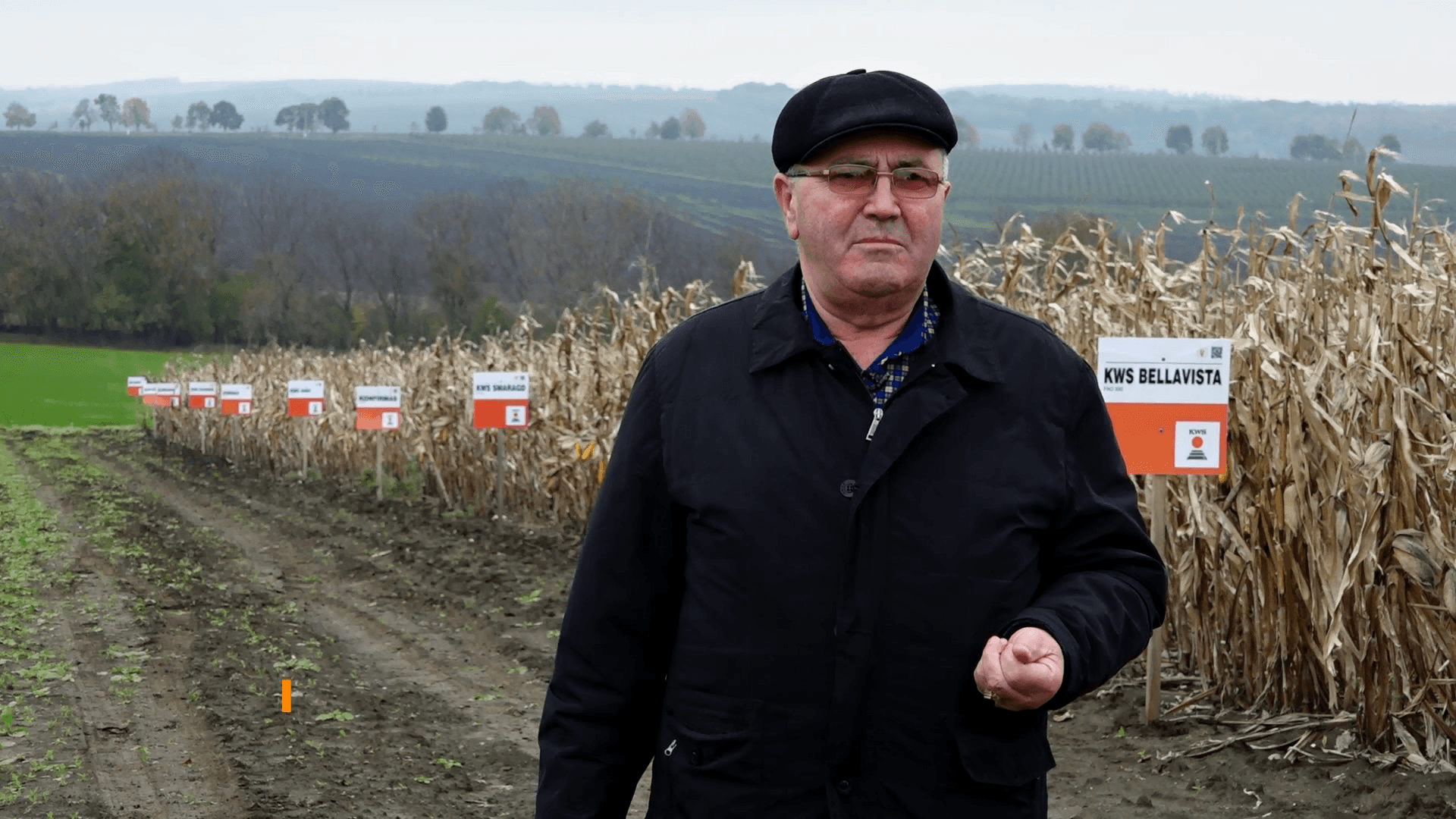 Agricultura poate fi performantă cu hibrizii KWS