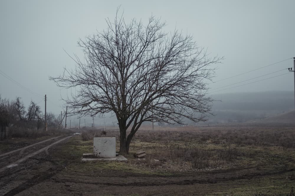 Cer noros, fără precipitații