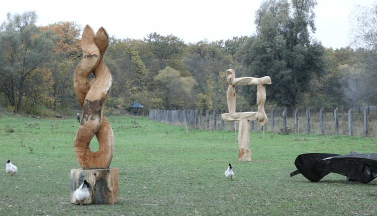 În Pădurea Domnească, au apărut sculpturi din lemn