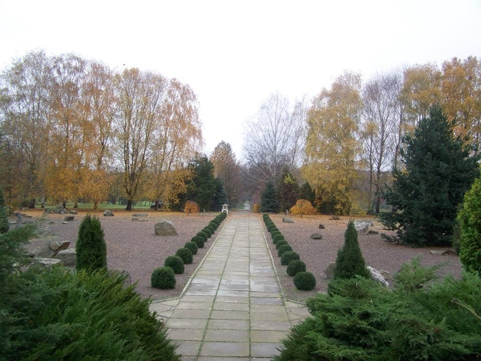 Aleea ONU, la Grădina Botanică
