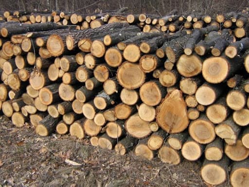 Prețul la lemne a crescut în acest an
