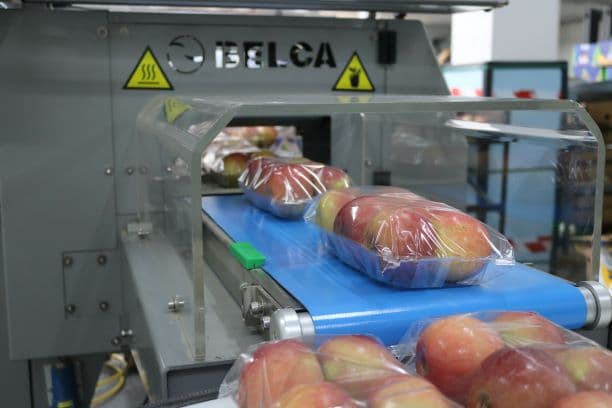 Primul echipament de ambalare a fructelor de tip flow-pack