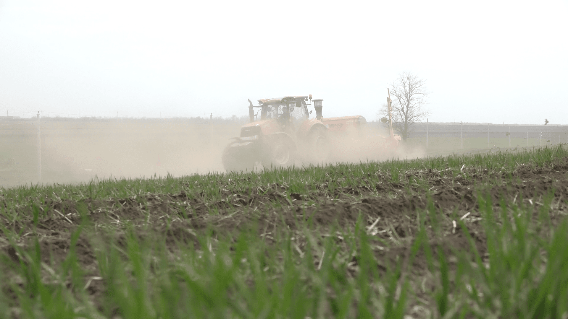 Agricultorii speră să aibă o roadă mai bogată în 2021