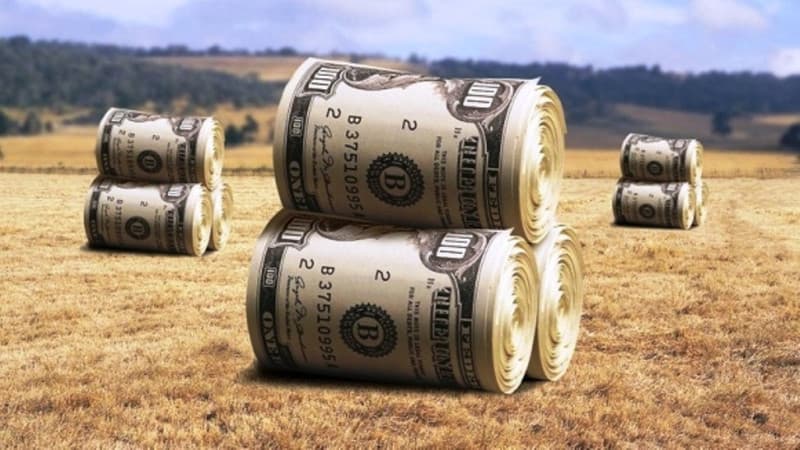 Asociațiile de business agricole vor putea beneficia de granturi