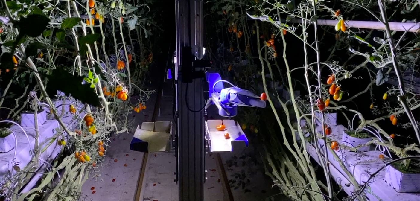 VIDEO/O companie japoneză agtech lansează robotul expert în culesul roșiilor