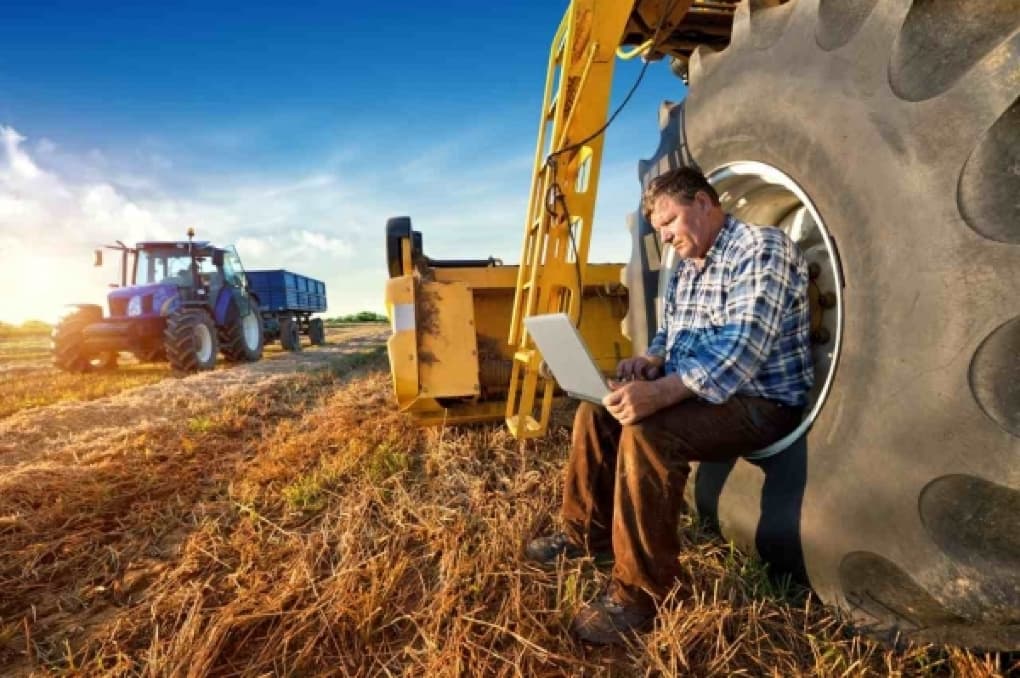 Expert economic: Subvenționare fără dezvoltare