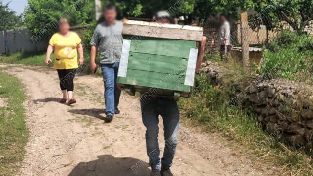 Poți și să furi de dragul albinelor