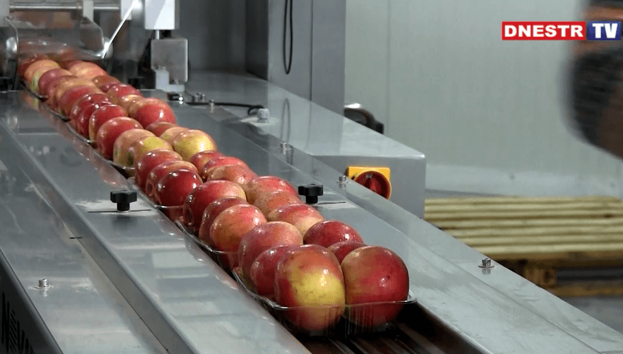 Implementarea tehnologiilor moderne în sectorul agroalimentar