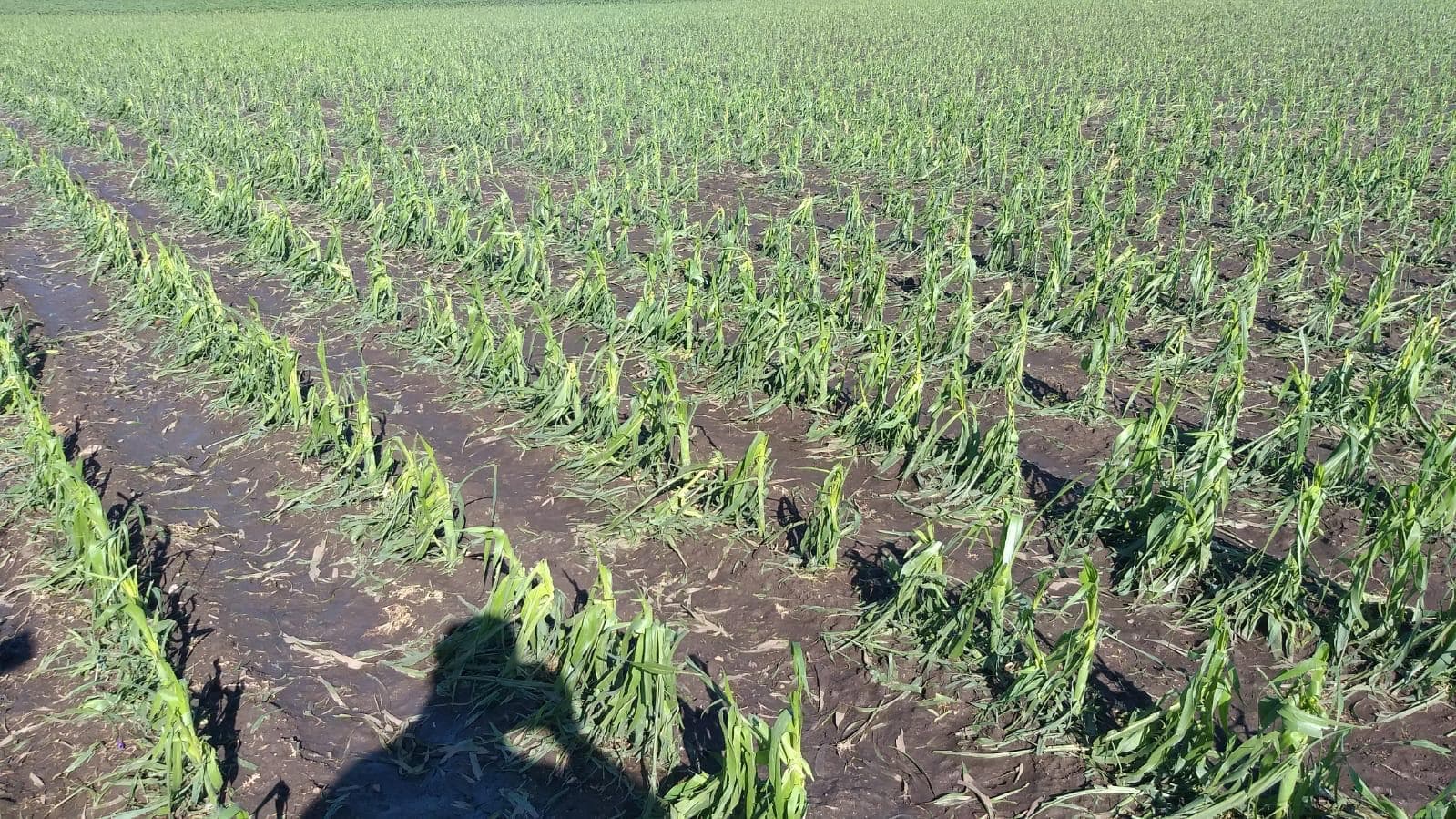 Nu mai pot de grija agricultorilor