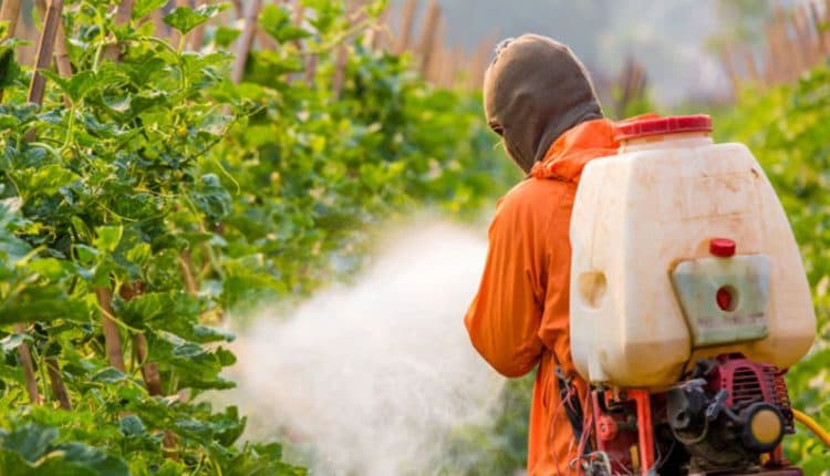 Săptămâna Națională a Pesticidelor: ANSA îndeamnă la utilizarea responsabilă pentru protecția sănătății și mediului