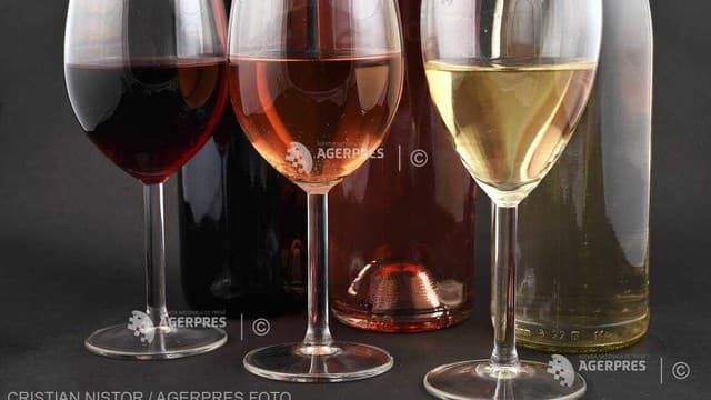 Producția de vin a Europei va fi mai mică în 2021, dar calitatea va fi mai bună