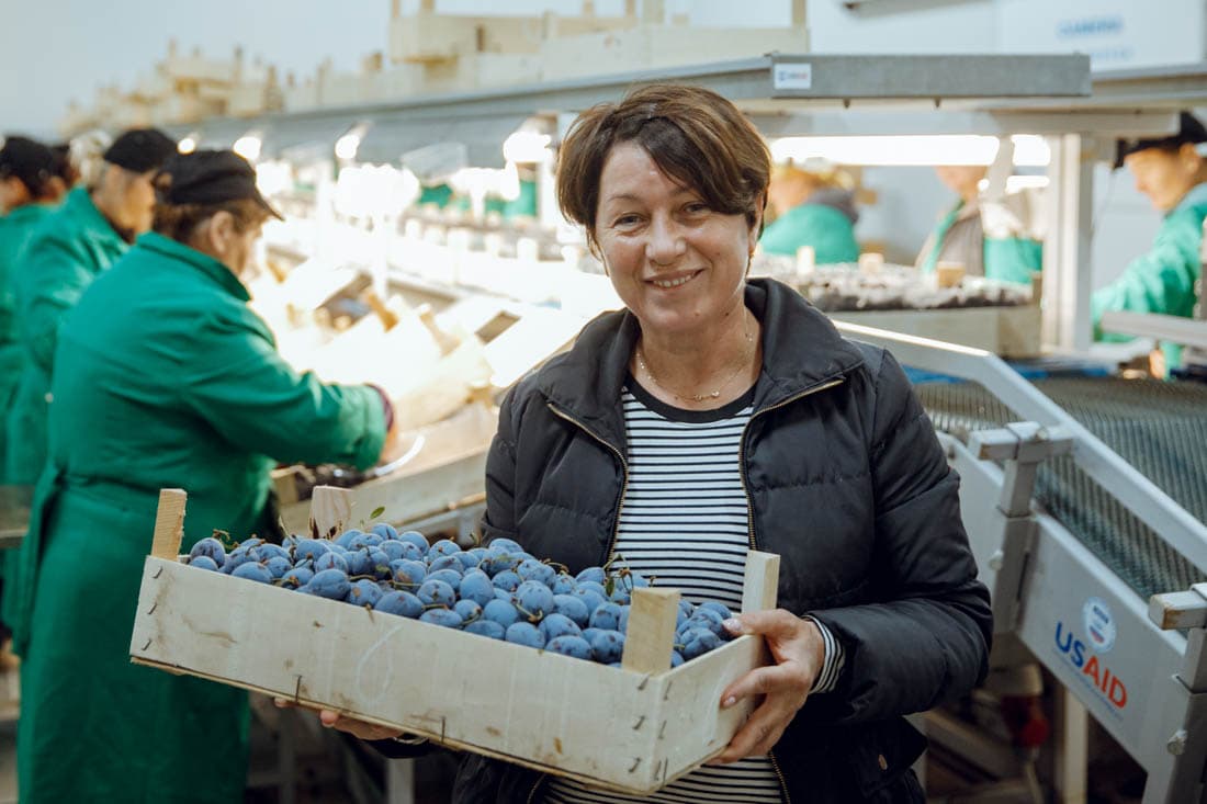 Prunele din Găgăuzia, exportate în PREMIERĂ în Uniunea Europeană
