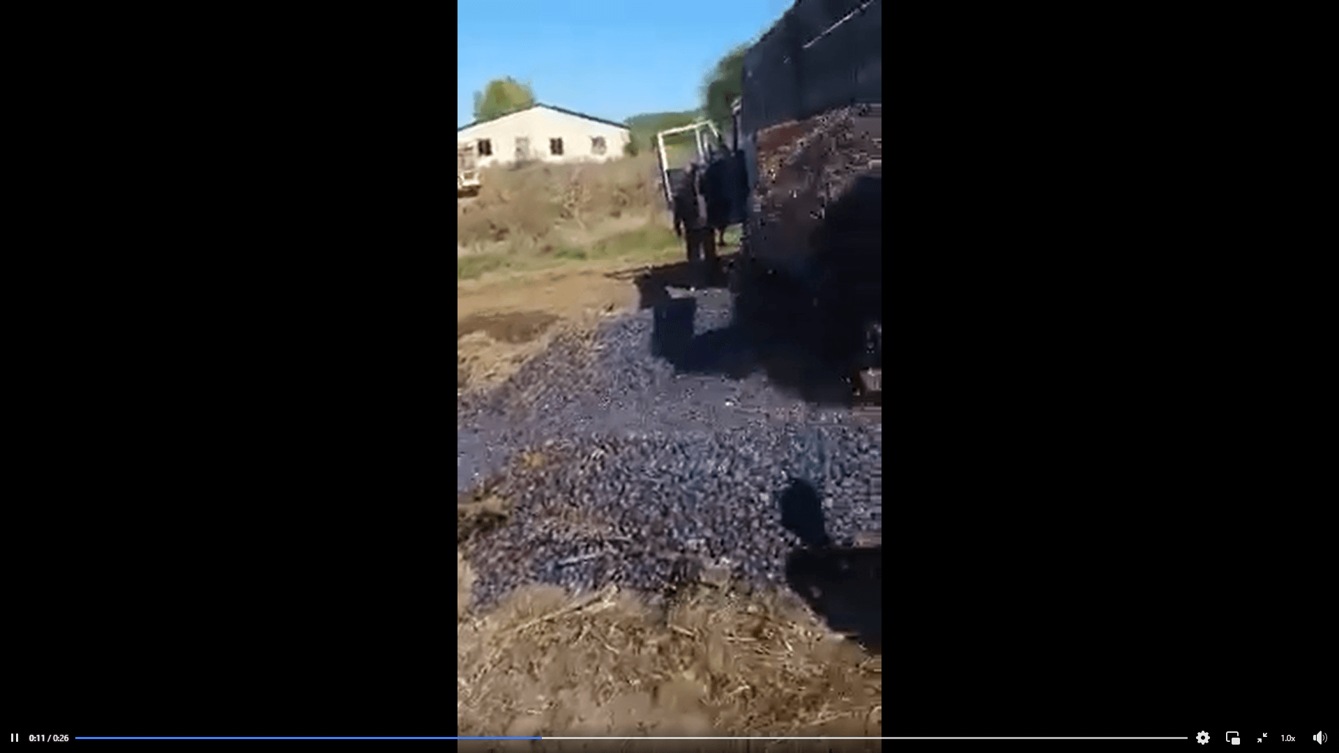 Mai bine ar face rachiu... Zeci de tone de prune, aruncate la rîpă (VIDEO)