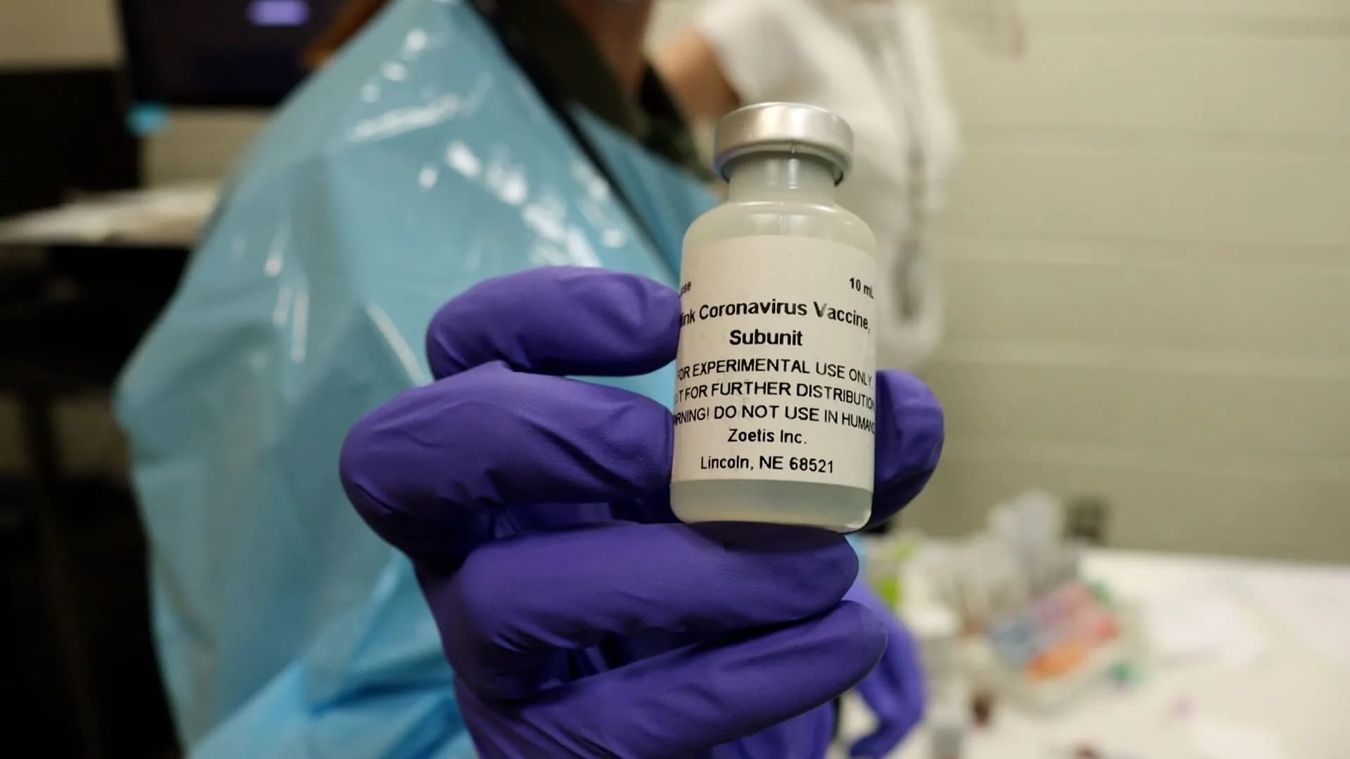 Zoo: primul animal vaccinat împotriva COVID-19