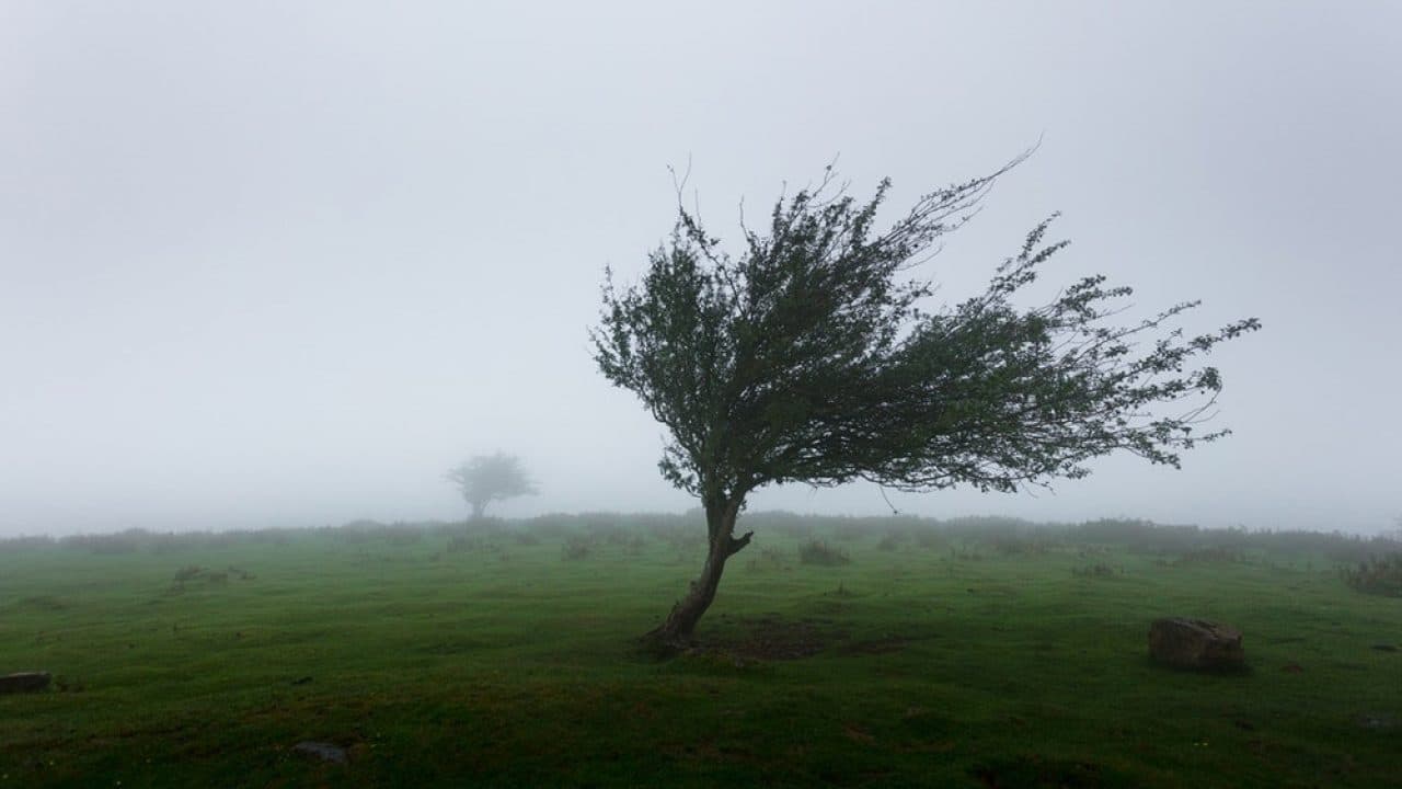 ATENȚIE! Vânt puternic în toată țara, prognozează meteorologii