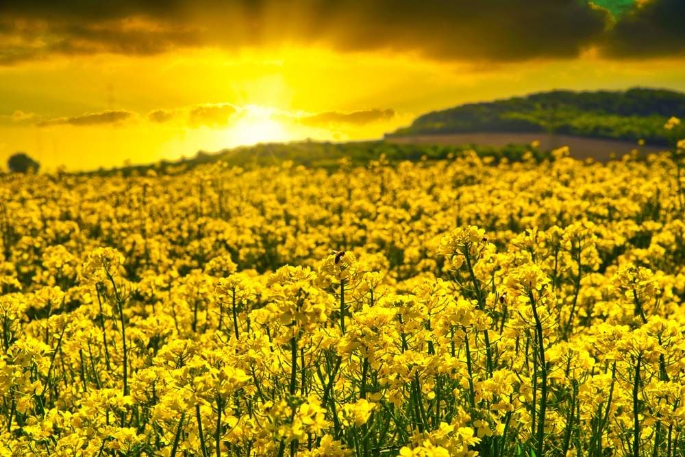 Vremea se va încălzi, prognozează meteorologii