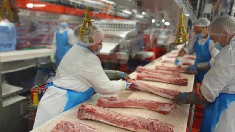 "Întregul sistem este putred": viața în interiorul industriei cărnii din Europa povestită de emigranți