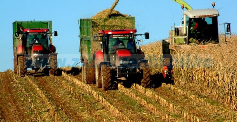 Agricultorii, sărăciți în continuare de ANRE