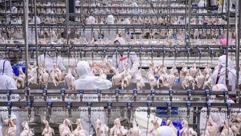 Cresc cazurile de gripă aviară la oameni, în China. Experții, îngrijorați de apariția unei mutații care face virusul mai contagios