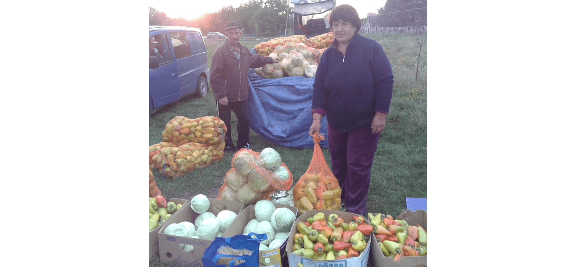 Toamna numără roada ecologică