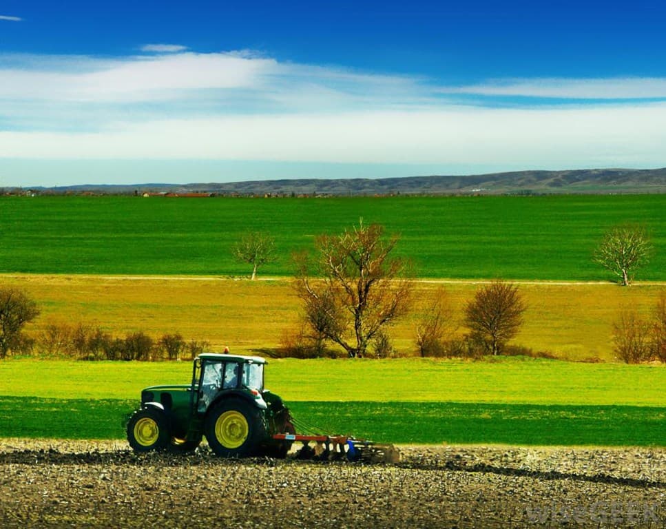 Agricultura salvează economia Moldovei