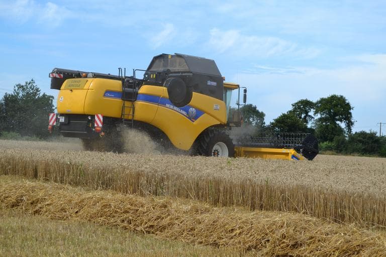 Prețurile cerealelor vizează noi recorduri – urmează criza aprovizionării?