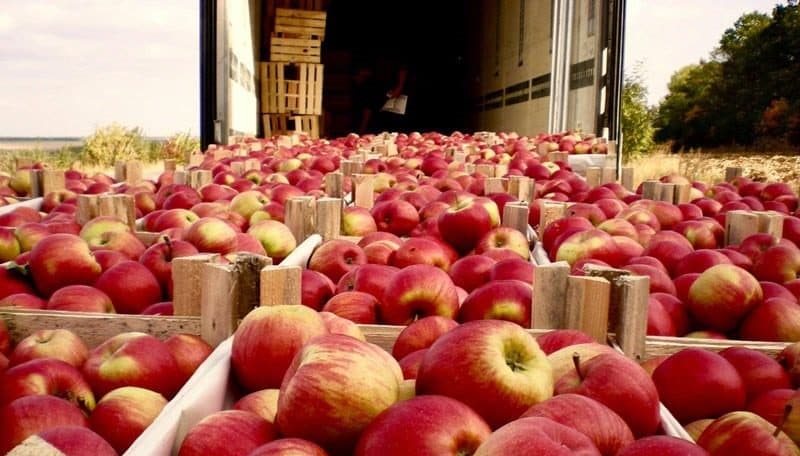 Producătorii de mere, afectați de creșterea taxelor de import în Rusia