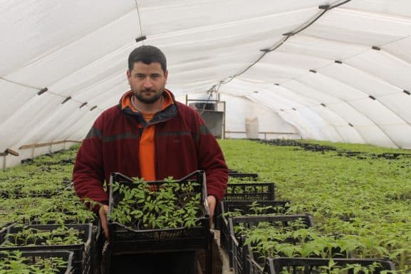 Decizia de a reveni la baştină s-a dovedit a fi corectă
