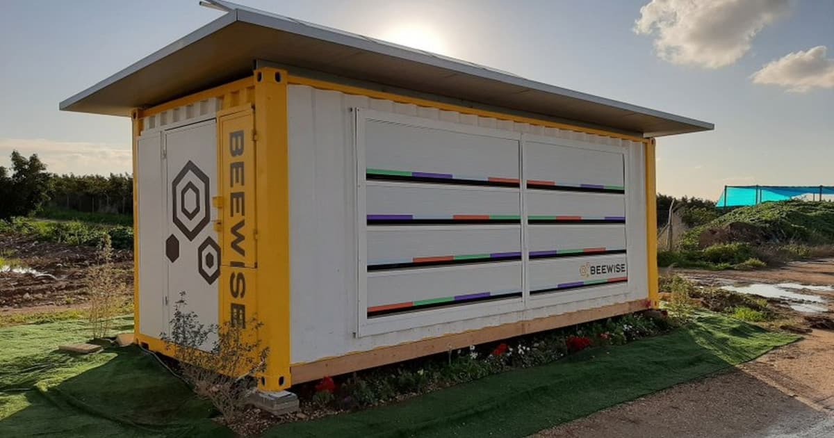 Un stup robotizat ajută albinele să își găsească refugiul din calea pericolelor din lumea exterioară