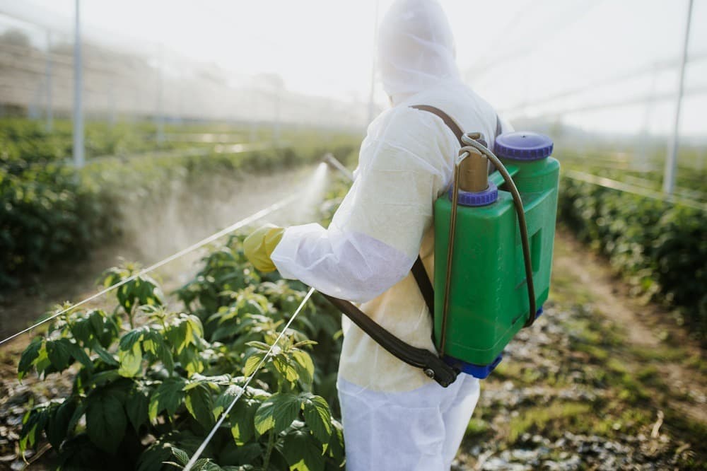 Produsele de uz fitosanitar, un pericol tot mai mare pentru sănătate