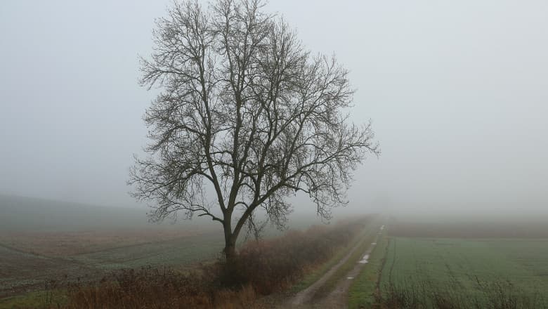 Frig și ceață: Prognoza meteo pentru mâine