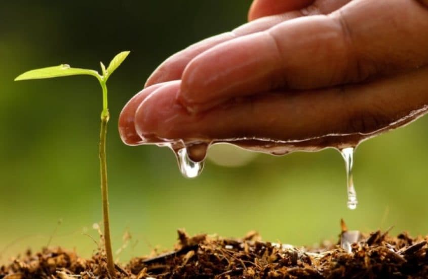 Totul despre agricultura ecologică într-un ghid distribuit gratis