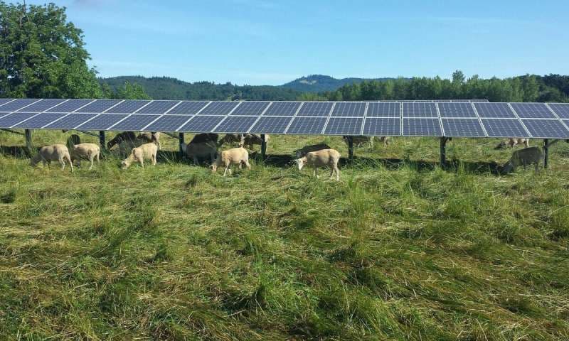 Comunitățile rurale, producătorii agricoli și crescătorii de animale vor putea diminua cheltuielile