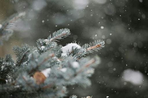 Temperaturile vor scădea, prognozează meteorologii