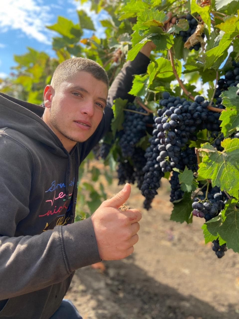 La 17 ani și-a lansat propria afacere în viticultură
