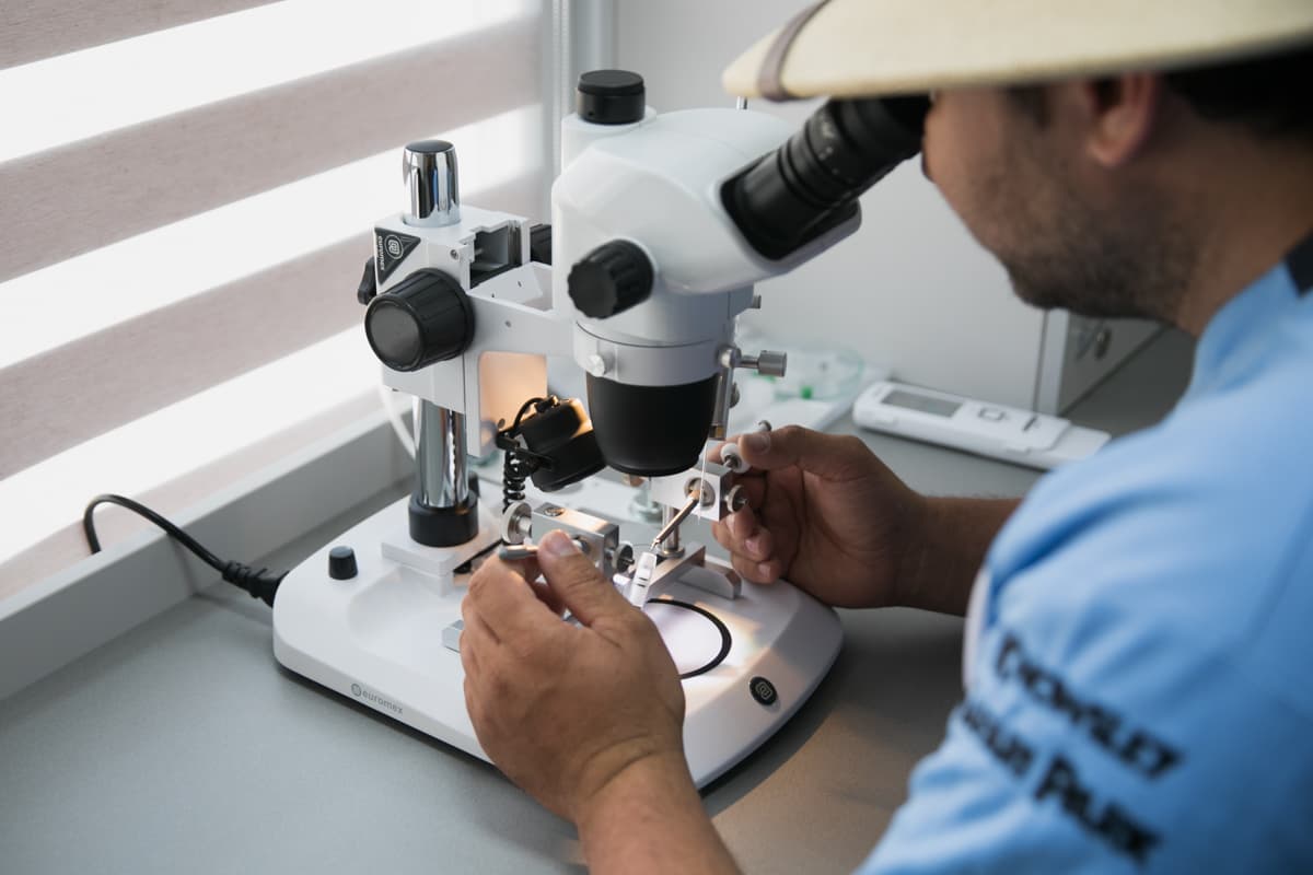 Sectorul apicol din Moldova va avea material genetic autohton