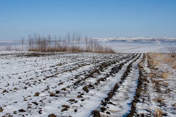 Ninsori la nord și cer variabil în centrul și sudul țării