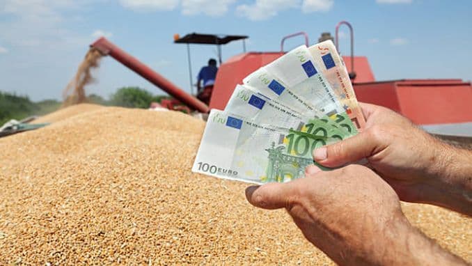 Prețul cerealelor – scăderi, reacții și motive