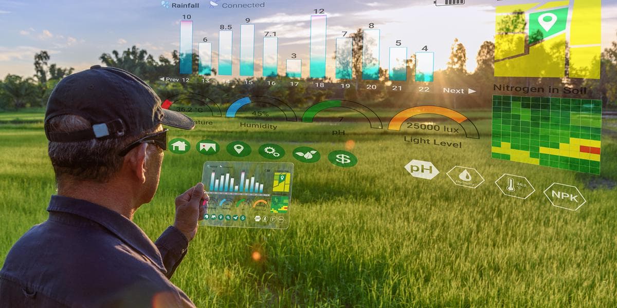 Cum arată digitalizarea și invențiile în agricultură?