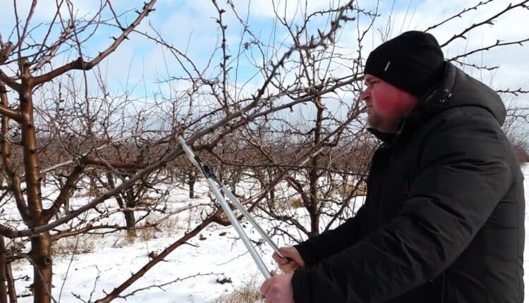 Cunoștințele în agricultură l-au făcut popular pe internet