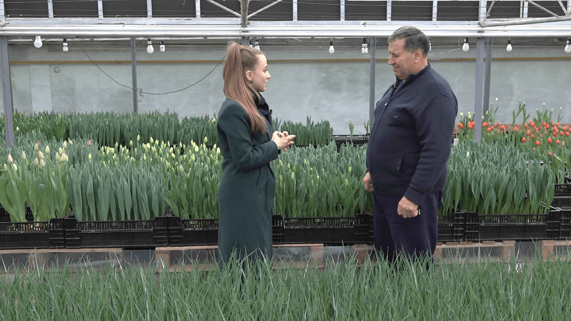 Cât de profitabilă poate fi creșterea florilor