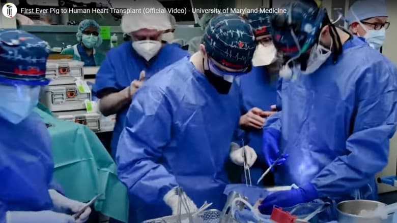 VIDEO/Transplant în premieră mondială. Un american a primit o inimă de porc