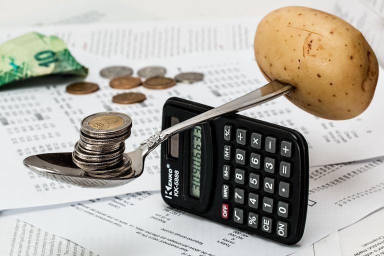 Importanța și utilizarea bugetului în fermă