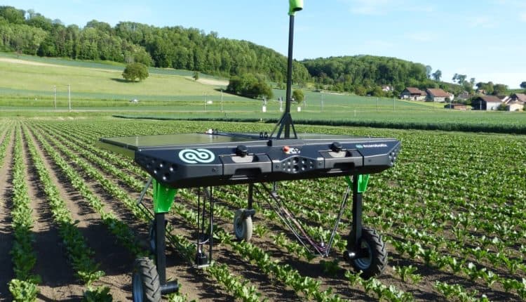 VIDEO/ Roboţi ce înlătură buruienile din culturile agricole